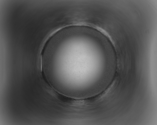 X0000089951223200706291206