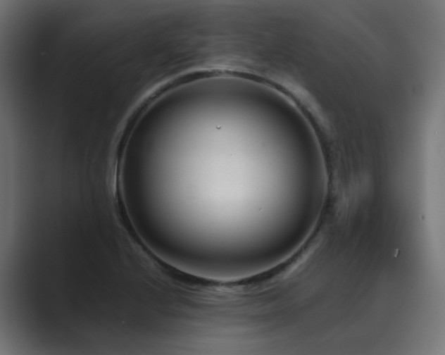 X0000089951224200706291206