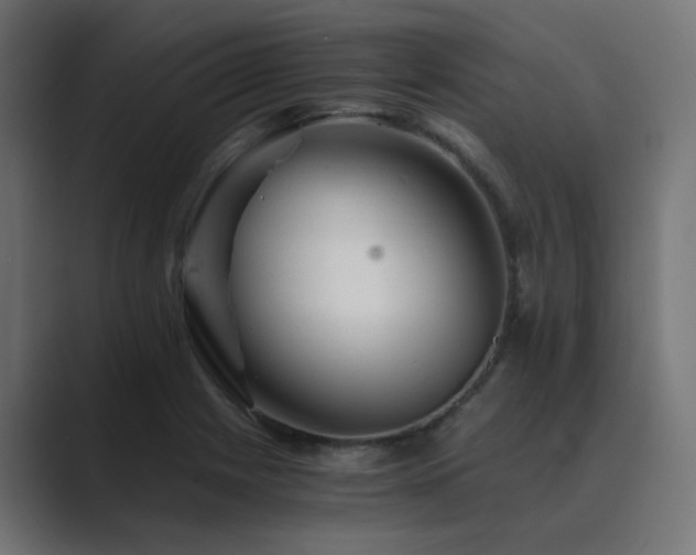 X0000089951225200706291206