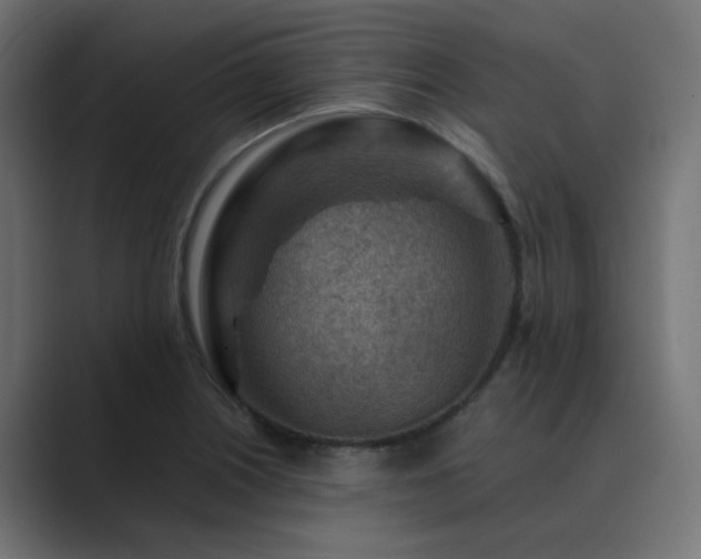 X0000089951226200706291206