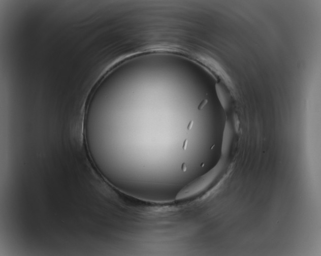 X0000089951228200706291206