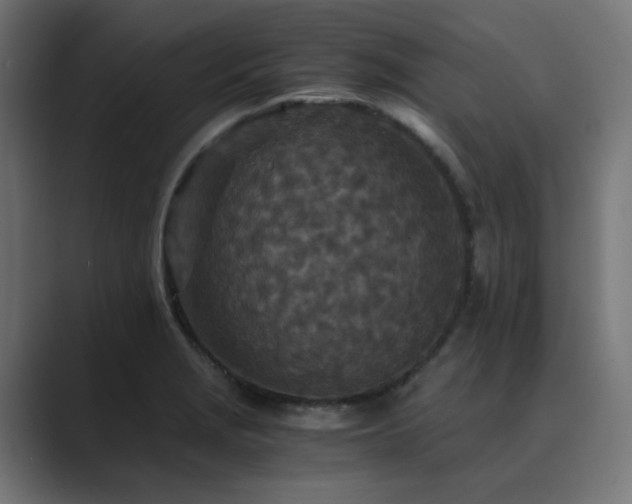 X0000089951229200706291206