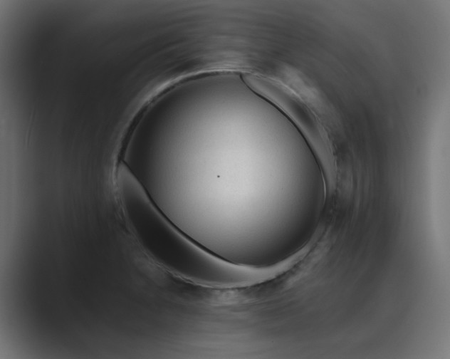 X0000089951230200706291206