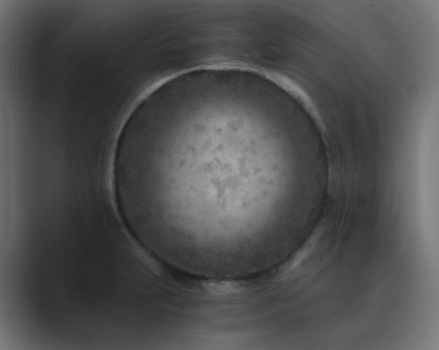 X0000089951231200706291206