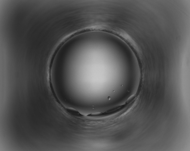 X0000089951232200706291206