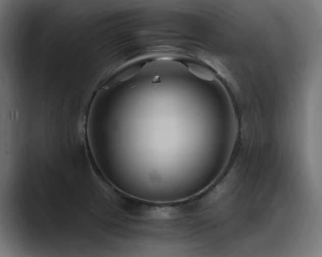 X0000089951233200706291206