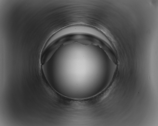 X0000089951234200706291206
