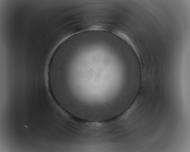 X0000089951235200706291206