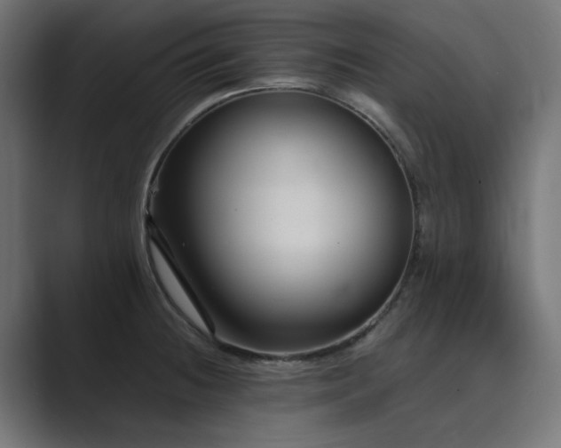 X0000089951236200706291206