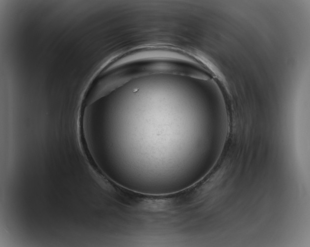 X0000089951237200706291206