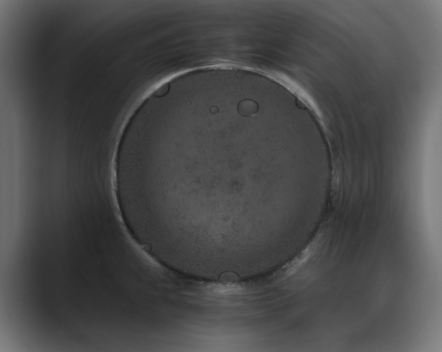 X0000089951239200706291206
