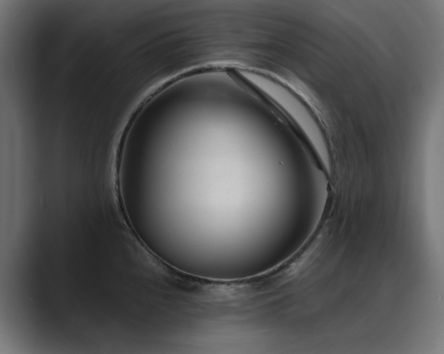 X0000089951240200706291206