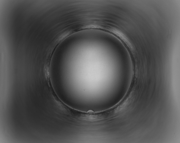 X0000089951241200706291206