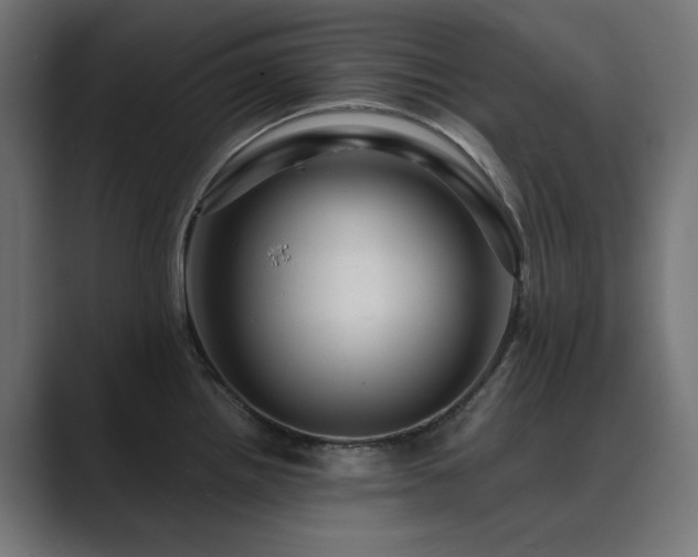 X0000089951242200706291206