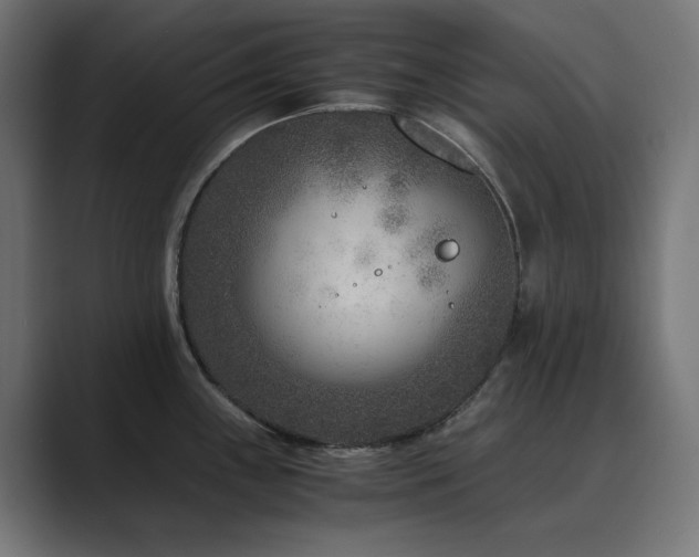 X0000089951243200706291206