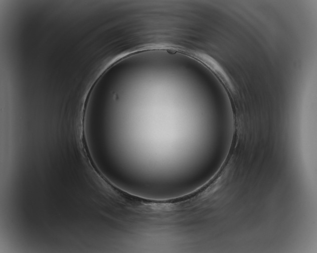 X0000089951244200706291206