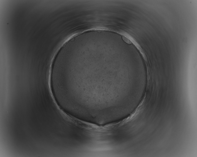 X0000089951245200706291206