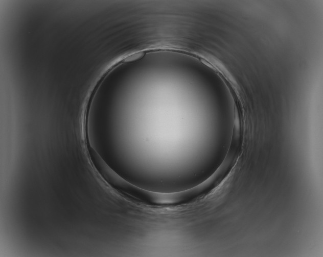 X0000089951246200706291206