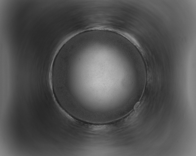 X0000089951247200706291206
