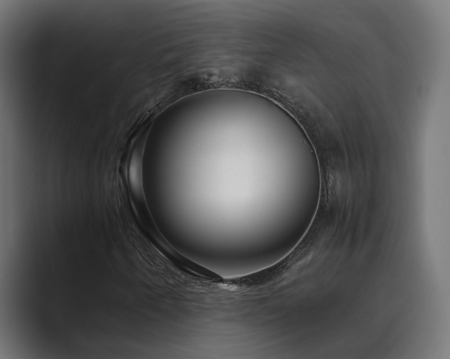 X0000089951250200706291205