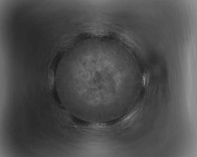 X0000089951251200706291205