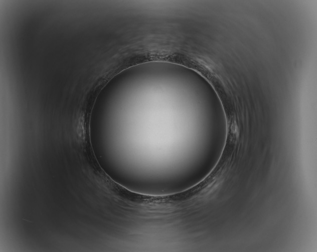 X0000089951252200706291205