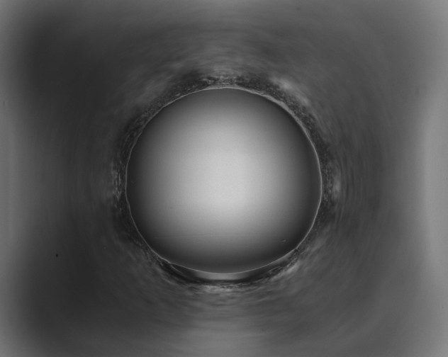 X0000089951253200706291205