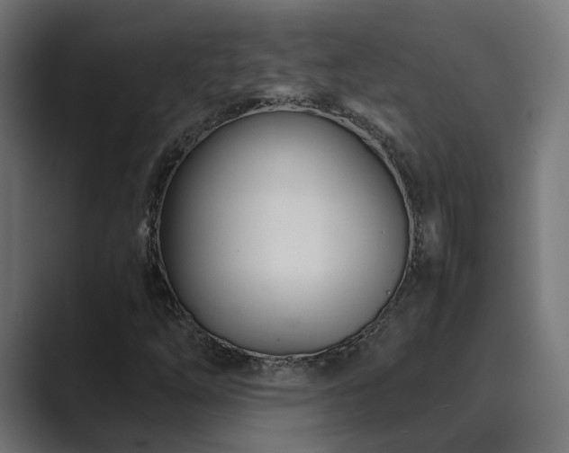 X0000089951254200706291205