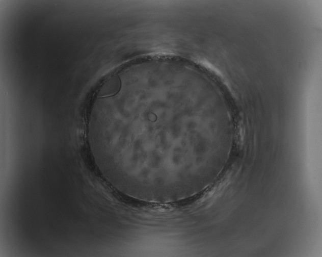 X0000089951255200706291205