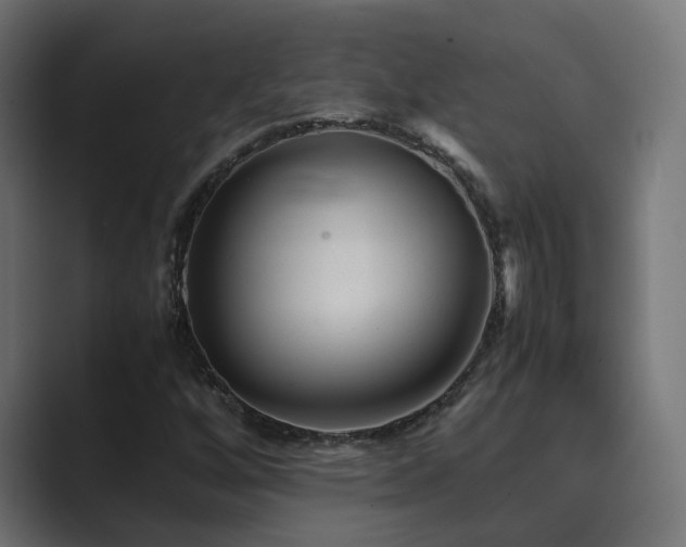 X0000089951256200706291205