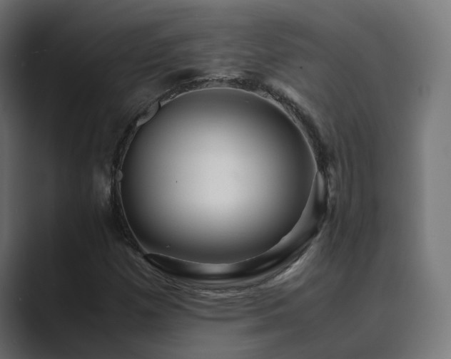 X0000089951257200706291205