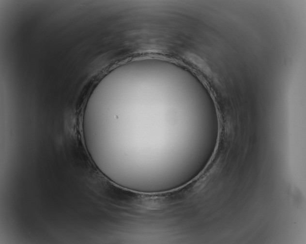 X0000089951258200706291205