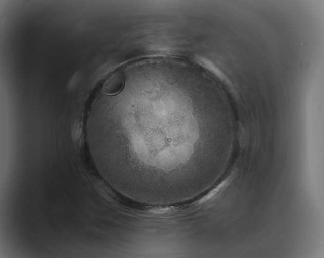 X0000089951259200706291205