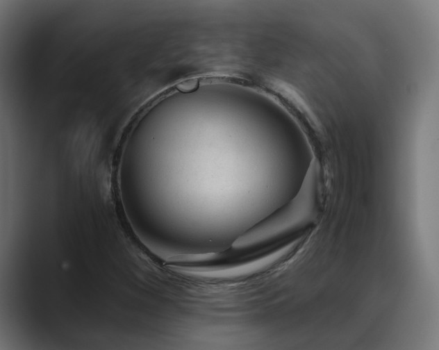 X0000089951260200706291205