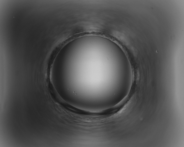 X0000089951261200706291205