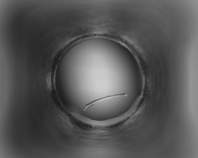 X0000089951262200706291205