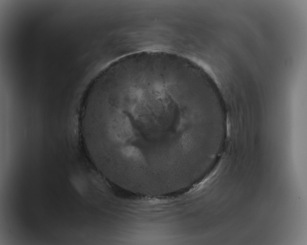 X0000089951263200706291205