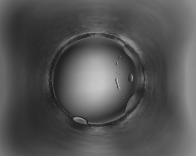 X0000089951264200706291205