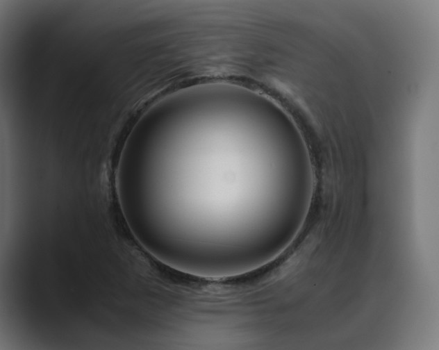 X0000089951265200706291205