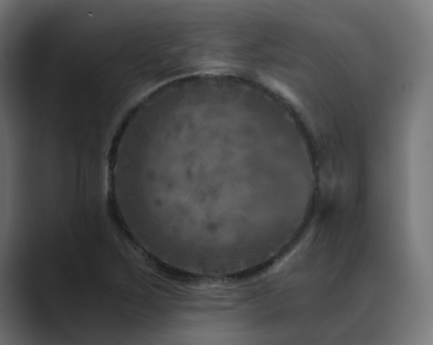 X0000089951267200706291205