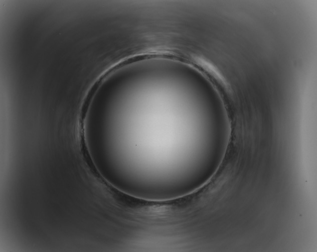 X0000089951268200706291205