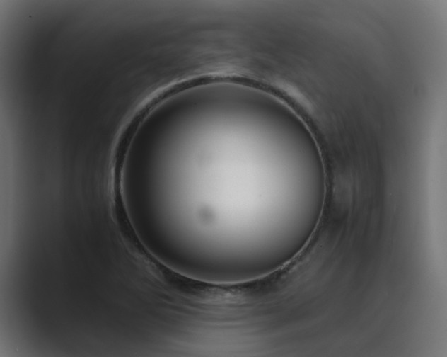 X0000089951270200706291205