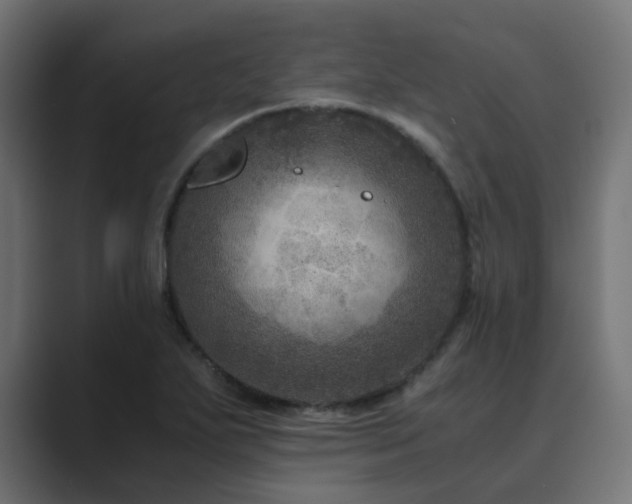 X0000089951271200706291205