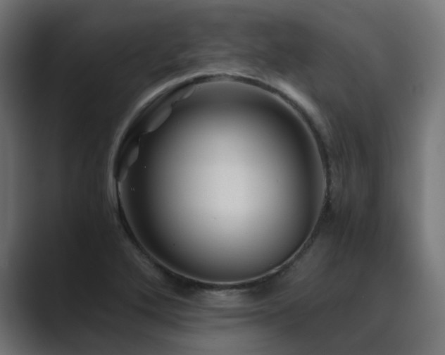 X0000089951272200706291205