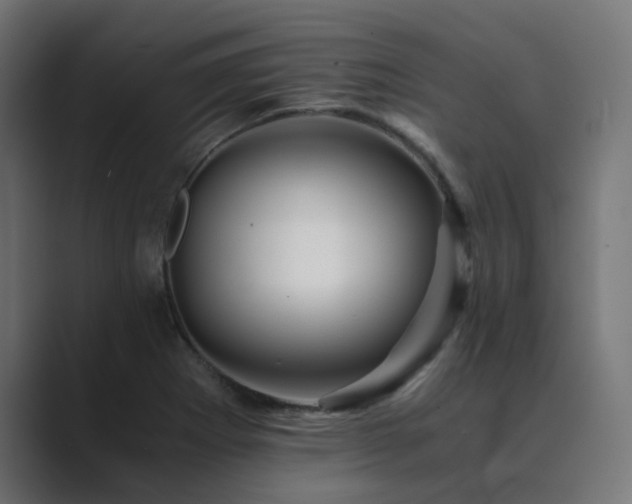X0000089951273200706291205
