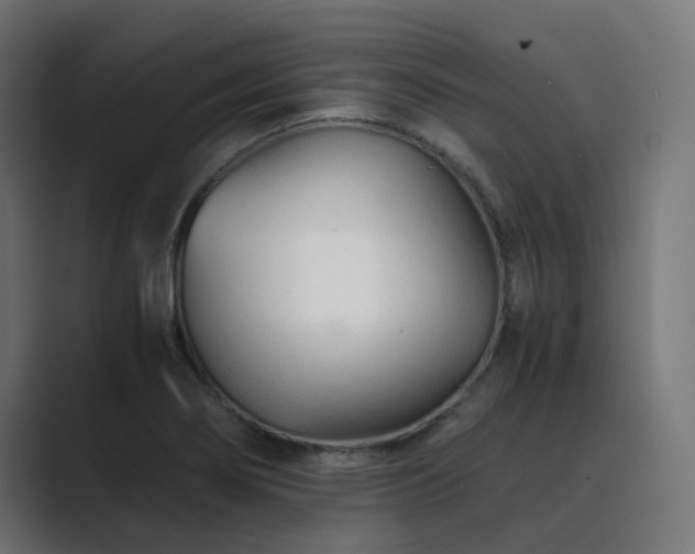 X0000089951274200706291205