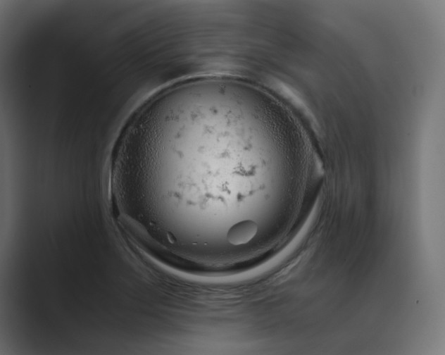 X0000089951275200706291205