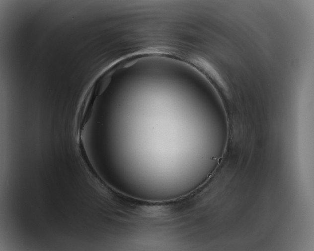 X0000089951276200706291205