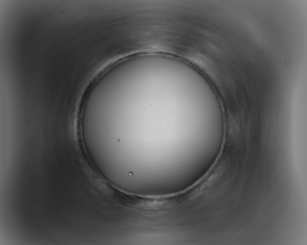 X0000089951278200706291205