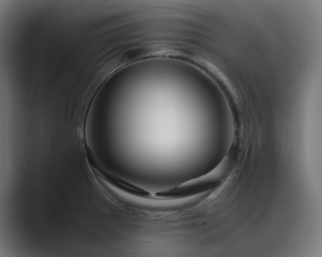 X0000089951281200706291205